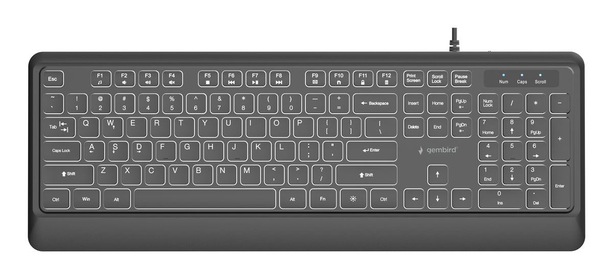 Gembird KB-UML-04 Slim wired backlight keyboard, black, US layout