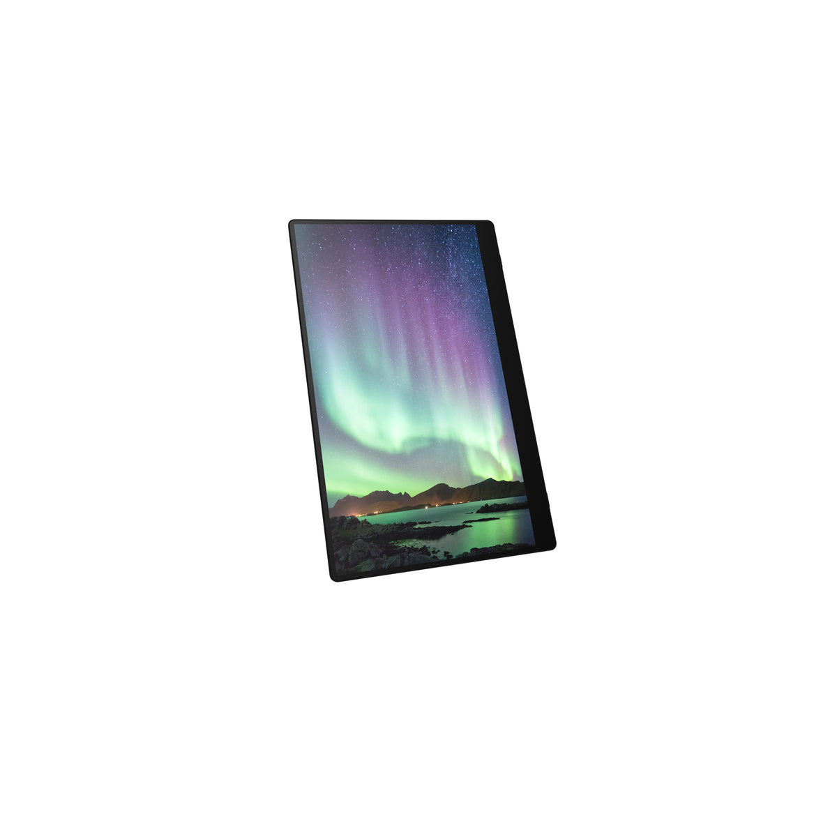 Ricoh 150BW Mobiler OLED-Monitor mit Touchscreen