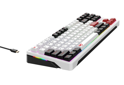 Πληκτρολόγιο gaming Havit KB902L