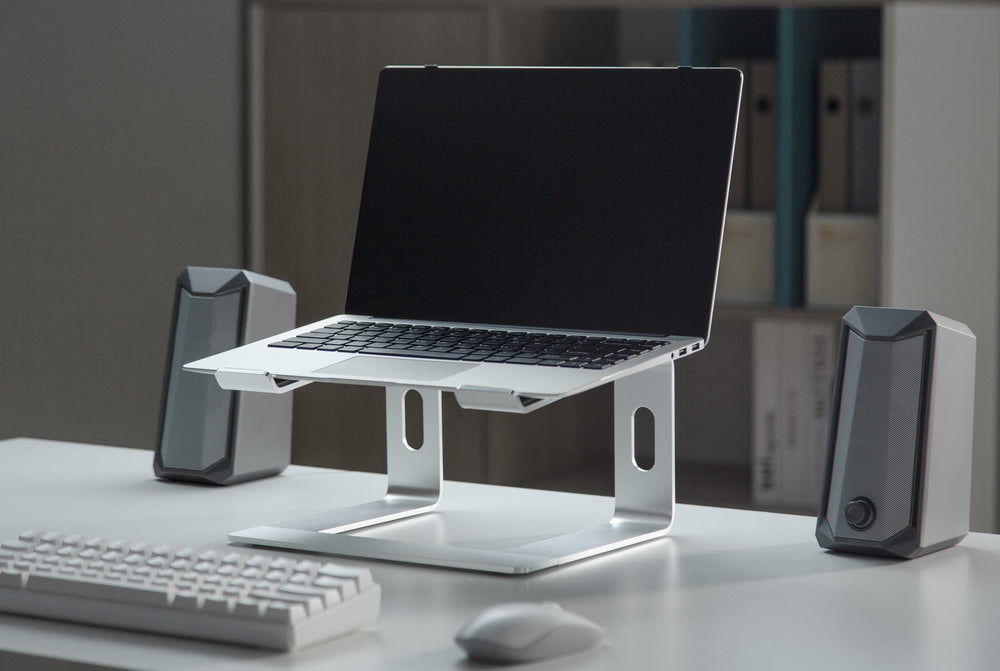 Gembird NBS-D1-01 Laptop Stand Aluminium, Silver 39.6 cm (15.6")