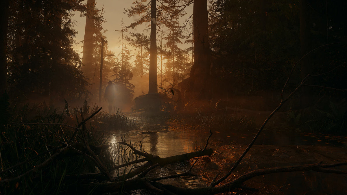 PS5 Alan Wake 2 Deluxe Edition EU