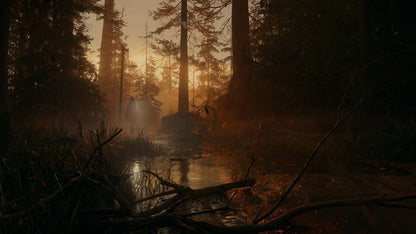 PS5 Alan Wake 2 Deluxe Edition EU