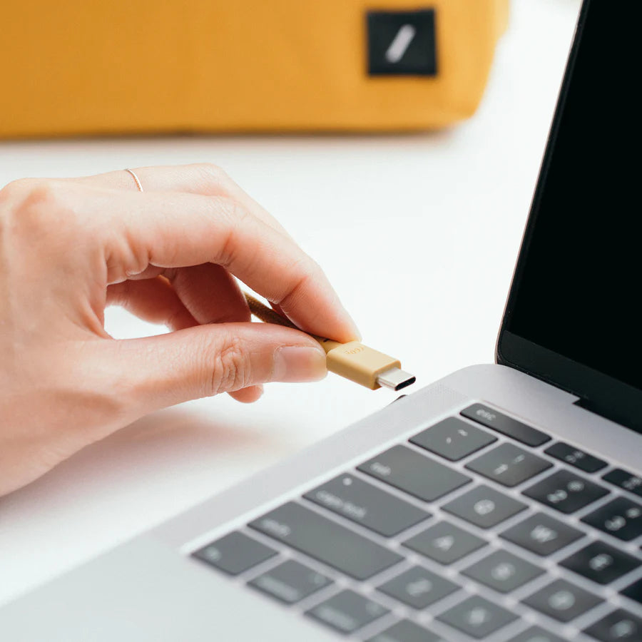 Native Union Anchor USB-C to USB-C Cable 3m Zebra