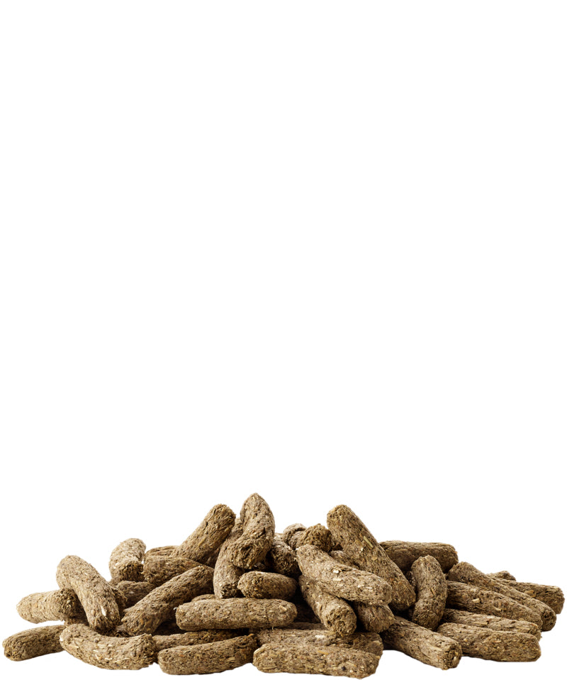 VERSELELAGA ADULT RABBIT FOOD 8KG