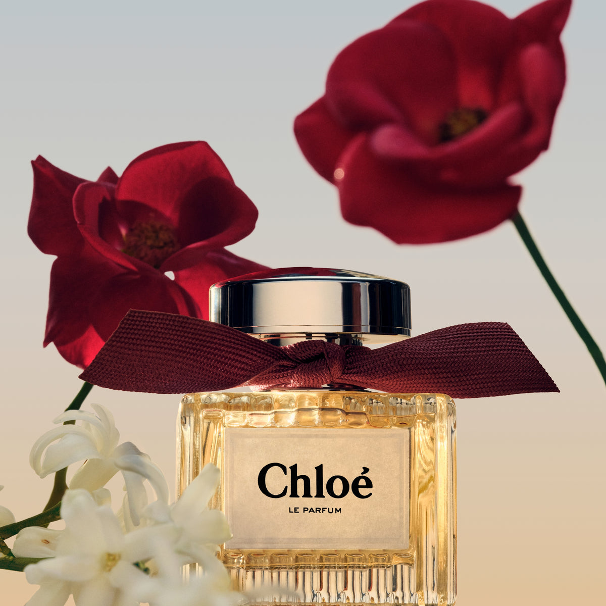 Chloé Chloé Le Parfum Refillable 50 ml (woman)