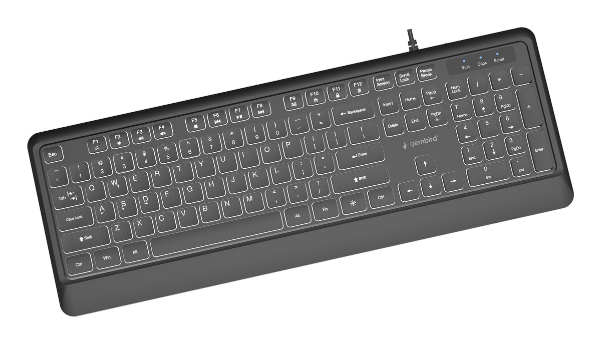 Gembird KB-UML-04 Slim wired backlight keyboard, black, US layout