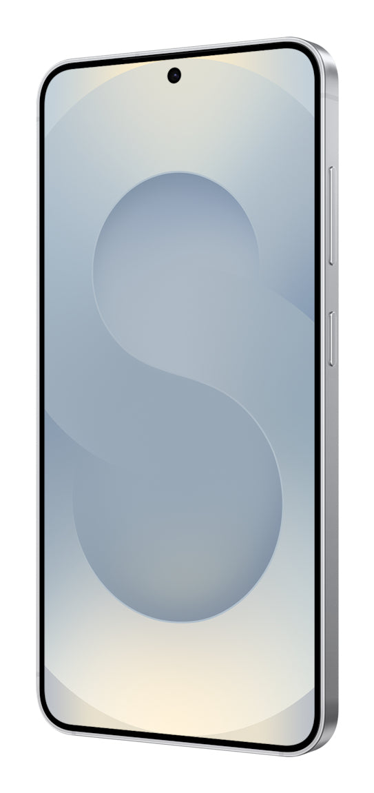 Samsung Galaxy S25 15.8 cm (6.2") Dual SIM Android 15 5G USB Type-C 12 GB 256 GB 4000 mAh Silver