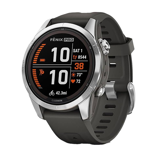 Watch Garmin Fenix 7S GPS 42mm Silver Stainless Steel with Graphite Band - Silver/Grey