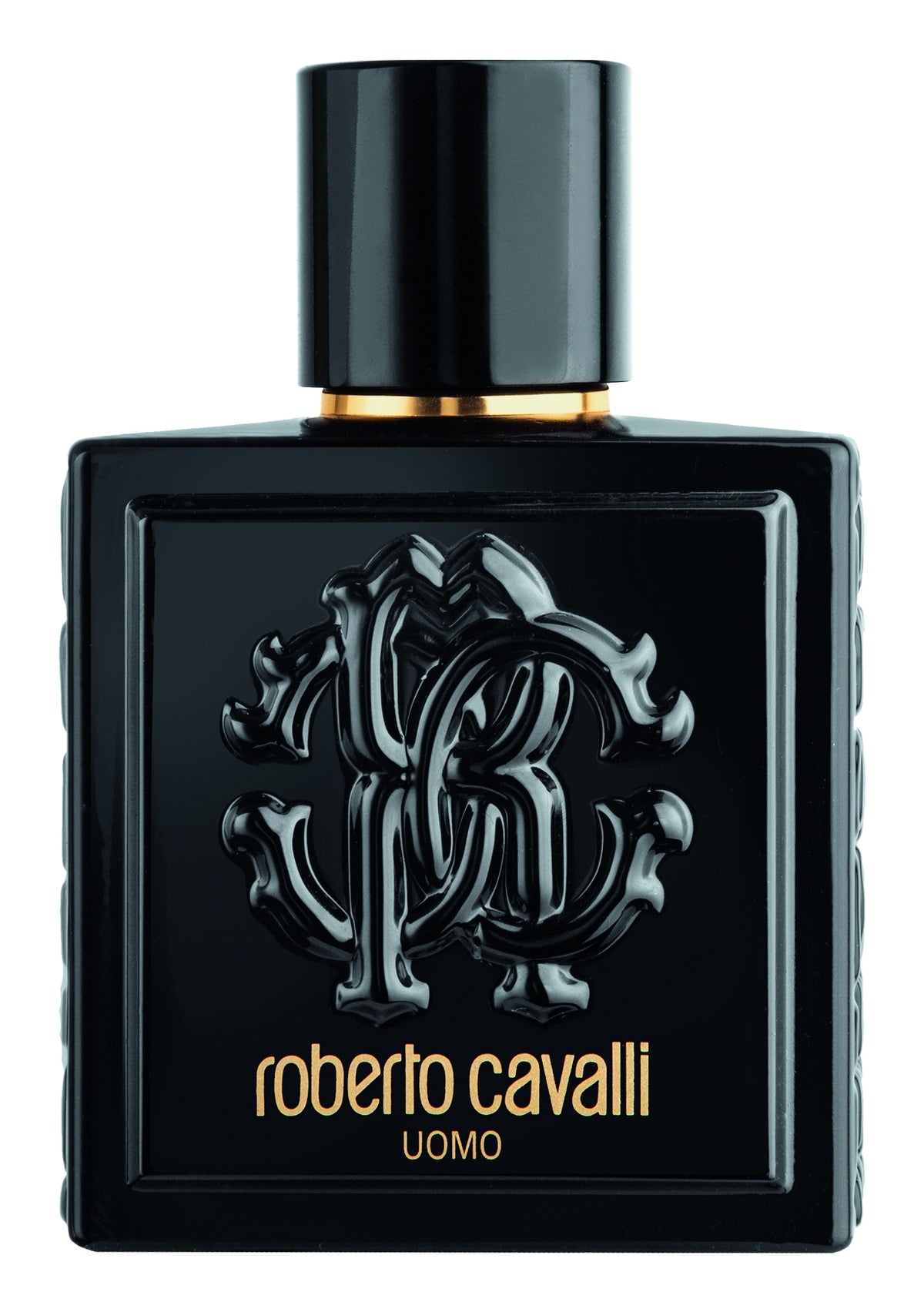 Roberto Cavalli Uomo Eau De Toilette 100 ml (man)