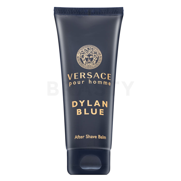 Versace Pour Homme Dylan Blue ASB M 100 ml