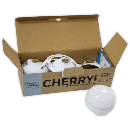 Μπαταρία Νέου Κήπου CHERRY MINI BULB