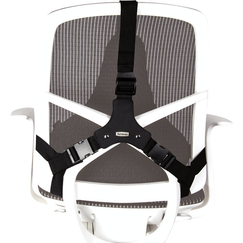 Fellowes Ergonomics professional back support pillow