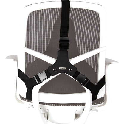 Fellowes Ergonomics professional back support pillow
