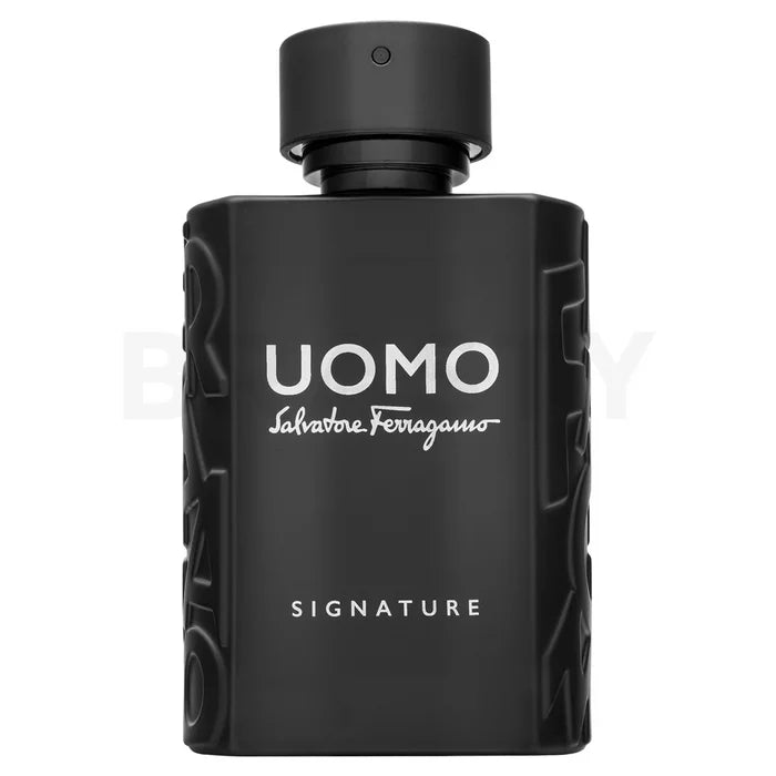 Salvatore Ferragamo Uomo Signature EDP M 100 ml