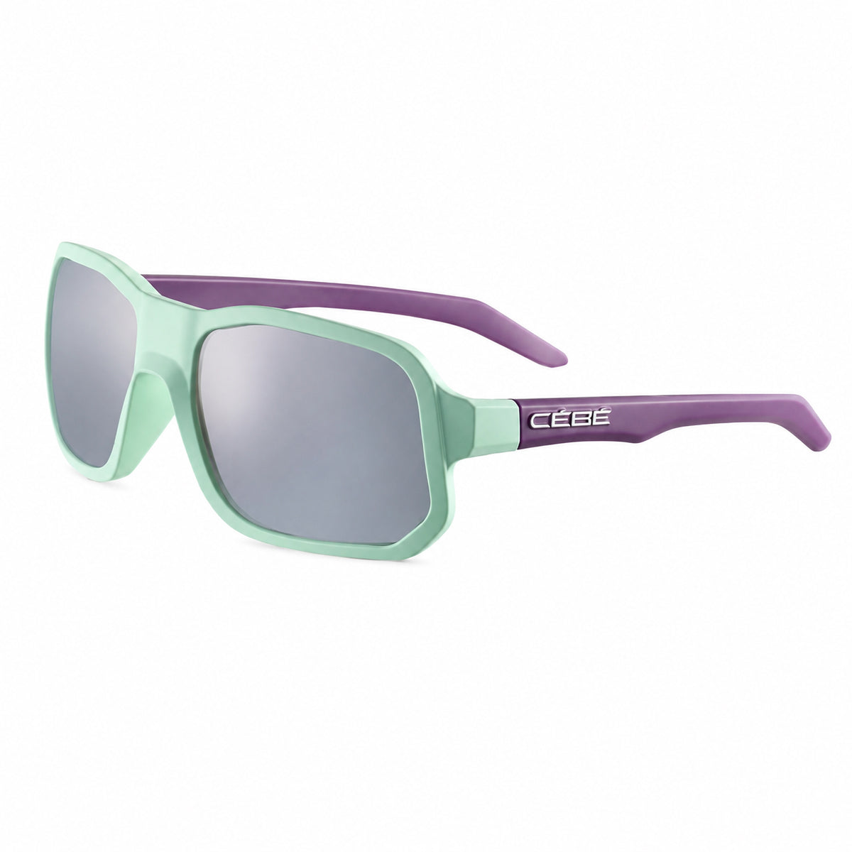 Sunglasses Cebe Man CS32805-S (Lens/Bridge/Temple) 54/20/130 mm