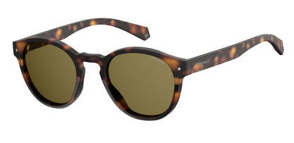 Polaroid Unisex Sunglasses PLD6042S086SP with 49/22/145 mm Lens/Bridge/Temple Dimensions
