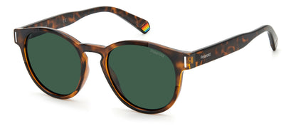 Polaroid Unisex Sunglasses PLD6175S086UC with Polarized Green Lenses and Brown Havana Frame, Lens 51 mm / Bridge 19 mm / Temple 145 mm