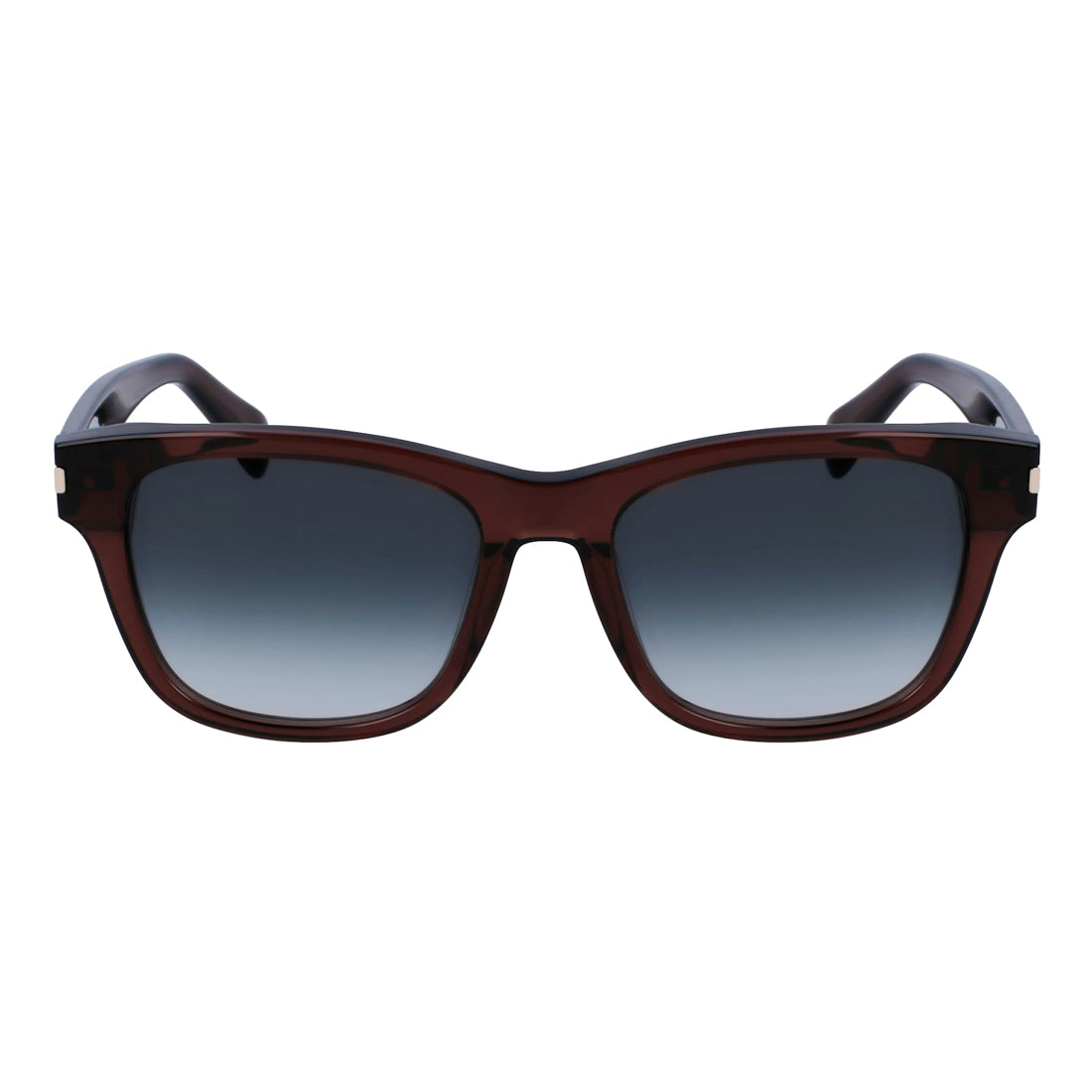 Sunglasses Paul Smith Unisex P23601SHOWIT (Lens/Bridge/Temple) 55/19/145 mm