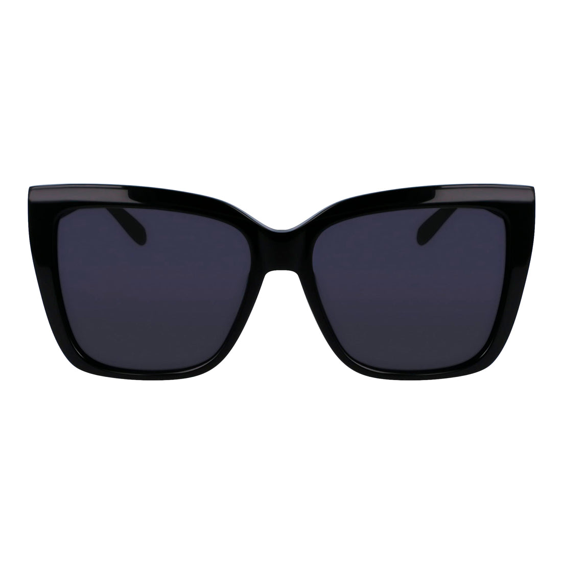 Sunglasses Ferragamo Women SF1102S-1 (Lens/Bridge/Temple) 58/16/140 mm