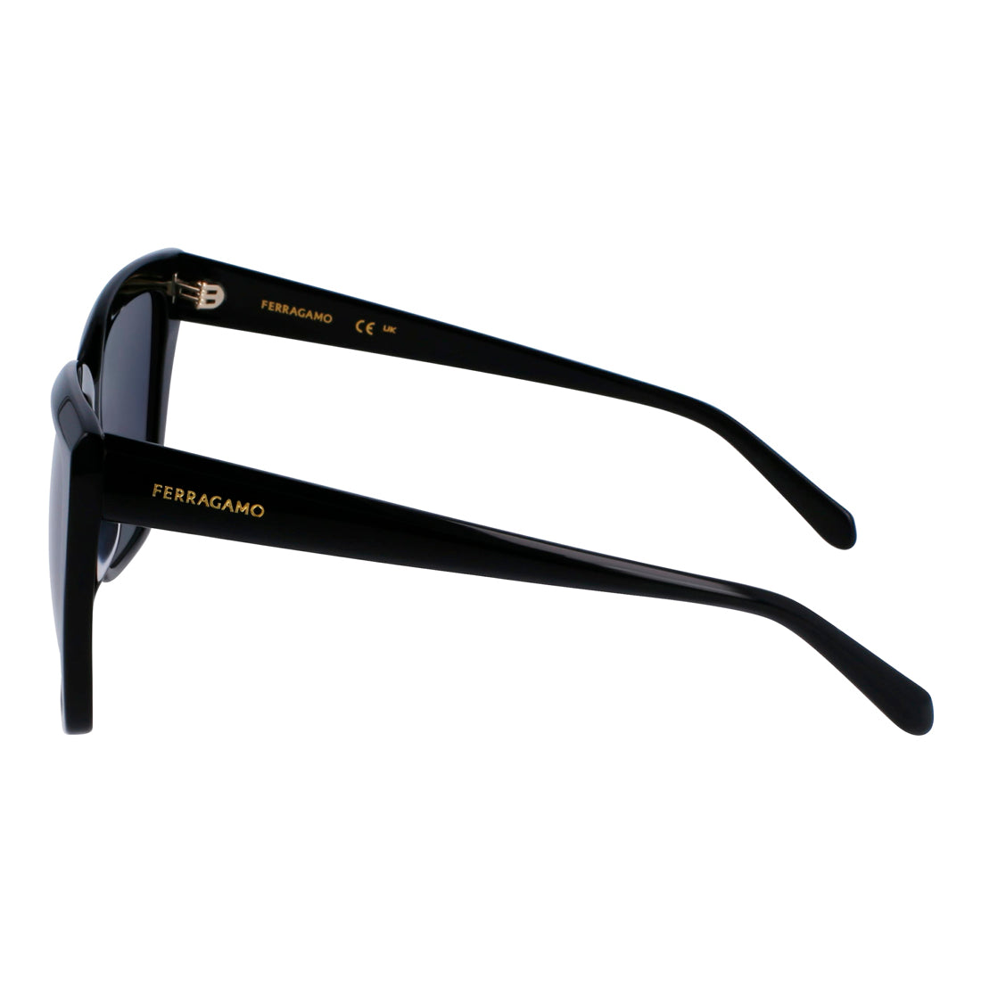 Sunglasses Ferragamo Women SF1102S-1 (Lens/Bridge/Temple) 58/16/140 mm