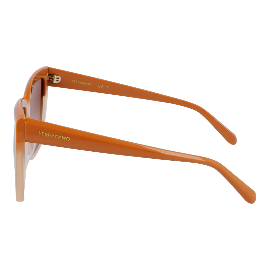 Sunglasses Ferragamo Women SF1102S-261 (Lens/Bridge/Temple) 58/16/140 mm