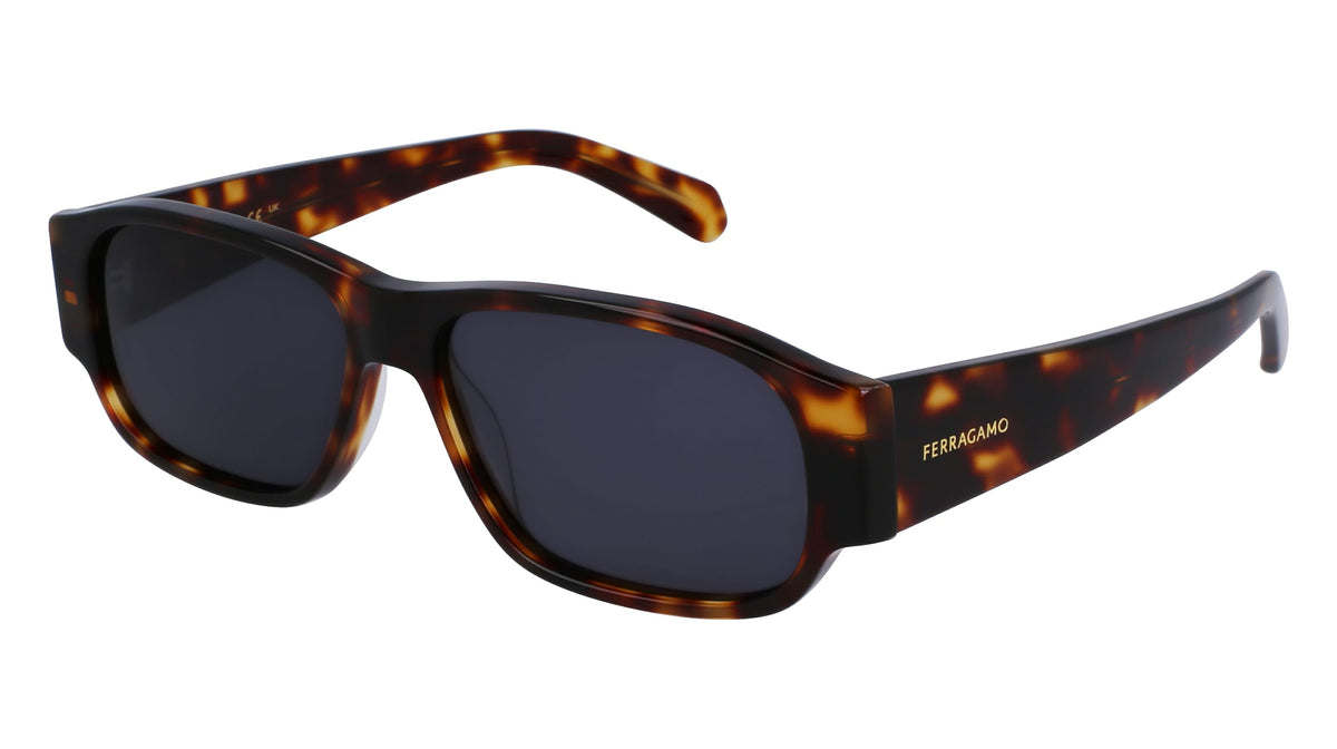 Sunglasses Ferragamo Man SF1109S571424 (Lens/Bridge/Temple) 57/14/145 mm