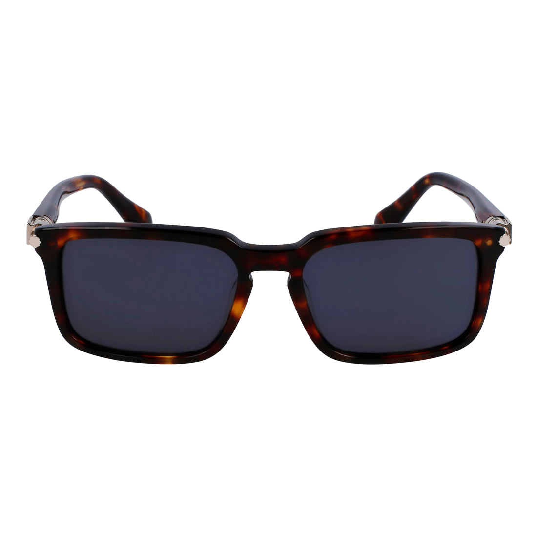 Sunglasses Ferragamo Man SF1110S-242 (Lens/Bridge/Temple) 56/18/140 mm