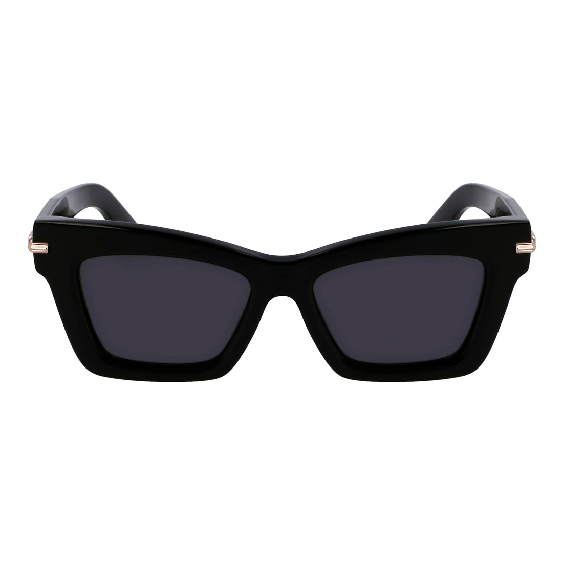 Sunglasses Ferragamo Women SF2031S-1 (Lens/Bridge/Temple) 52/17/145 mm