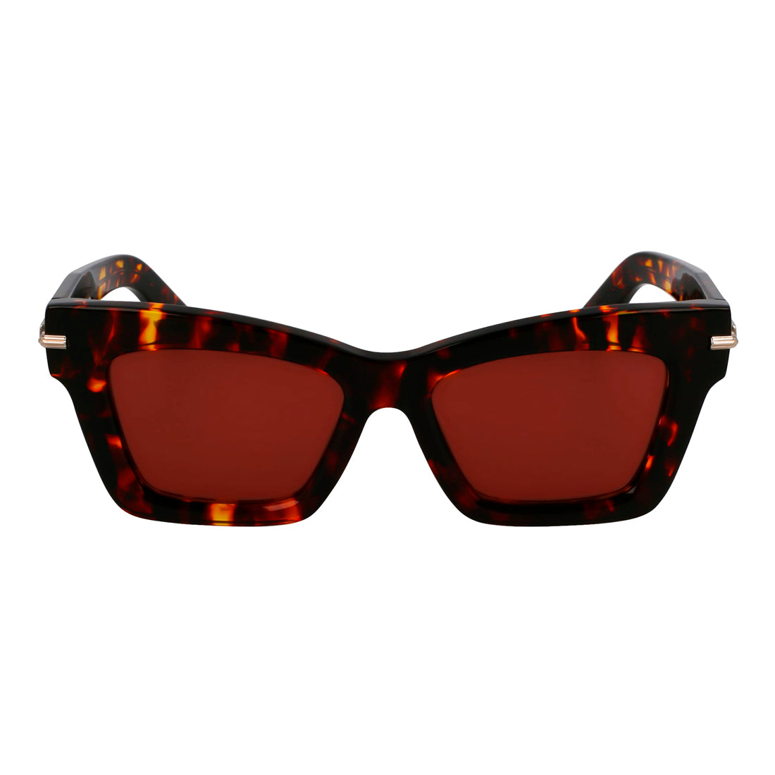 Sunglasses Ferragamo Women SF2031S-242 (Lens/Bridge/Temple) 52/17/145 mm