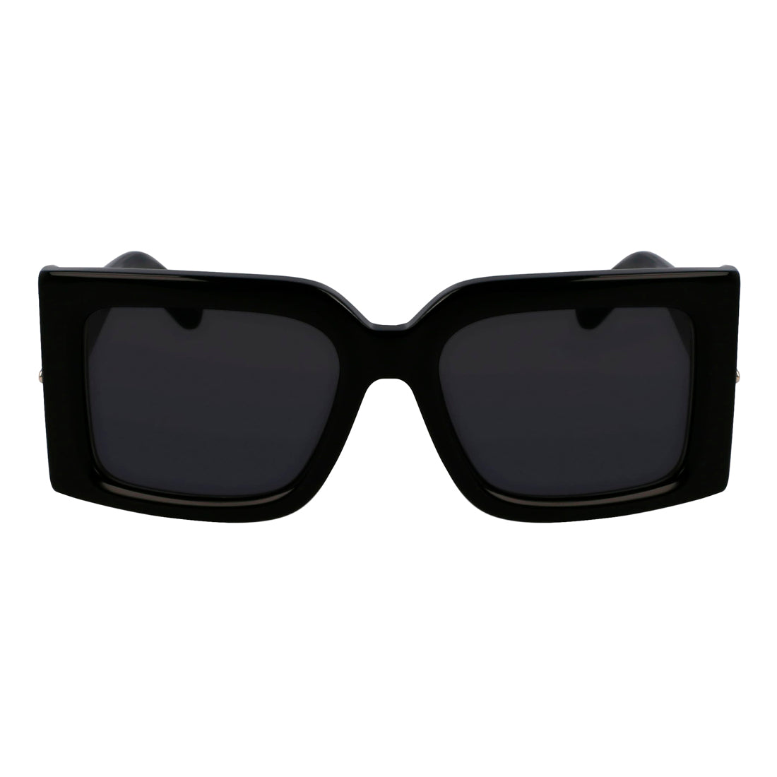 Sunglasses Ferragamo Women SF2032S-1 (Lens/Bridge/Temple) 55/19/140 mm