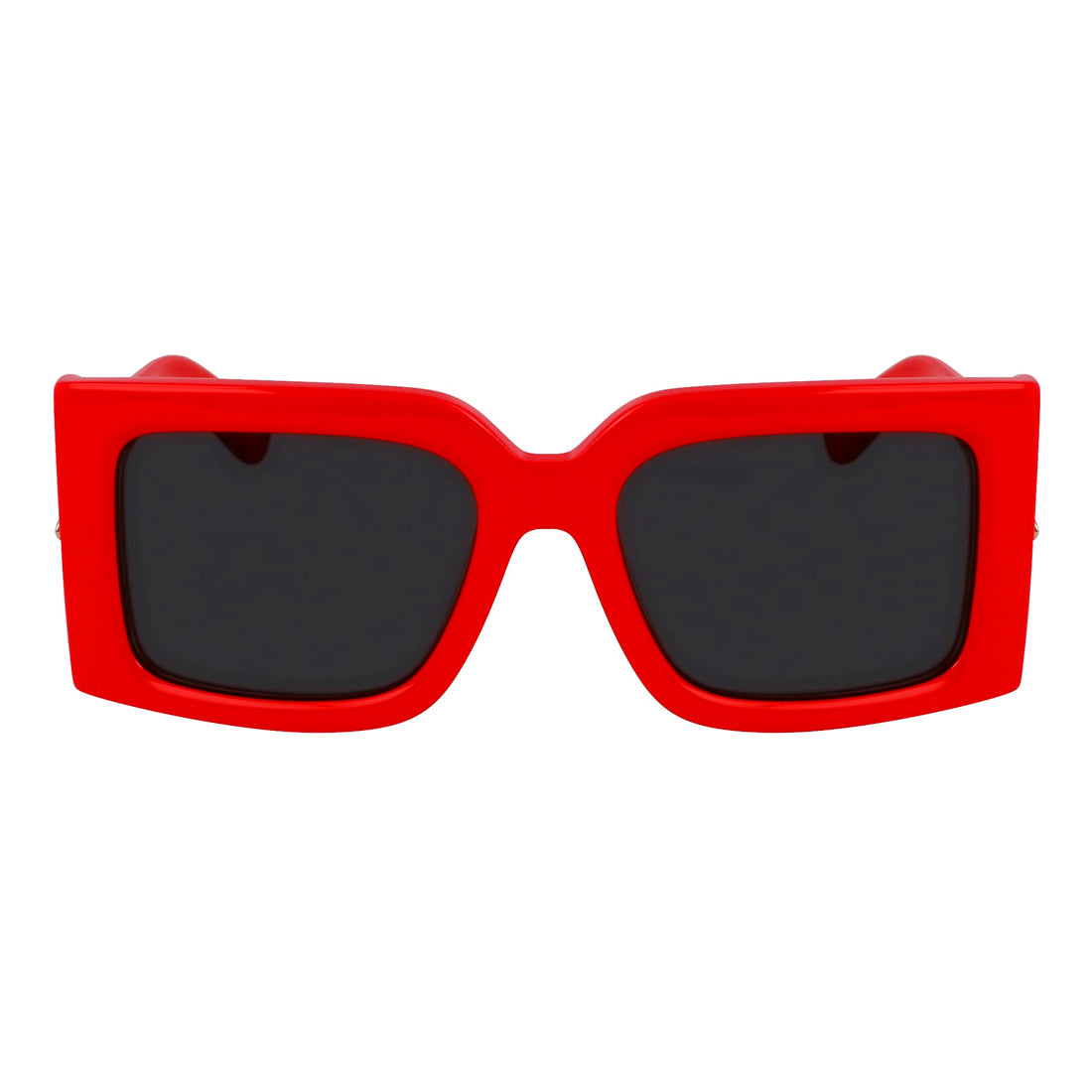 Sunglasses Ferragamo Women SF2032S-600 (Lens/Bridge/Temple) 55/19/140 mm