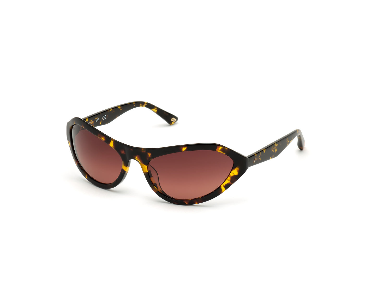 Sunglasses Web Eyewear Woman We0288-6052F (Lens/Bridge/Temple) 60/18/125 Mm)