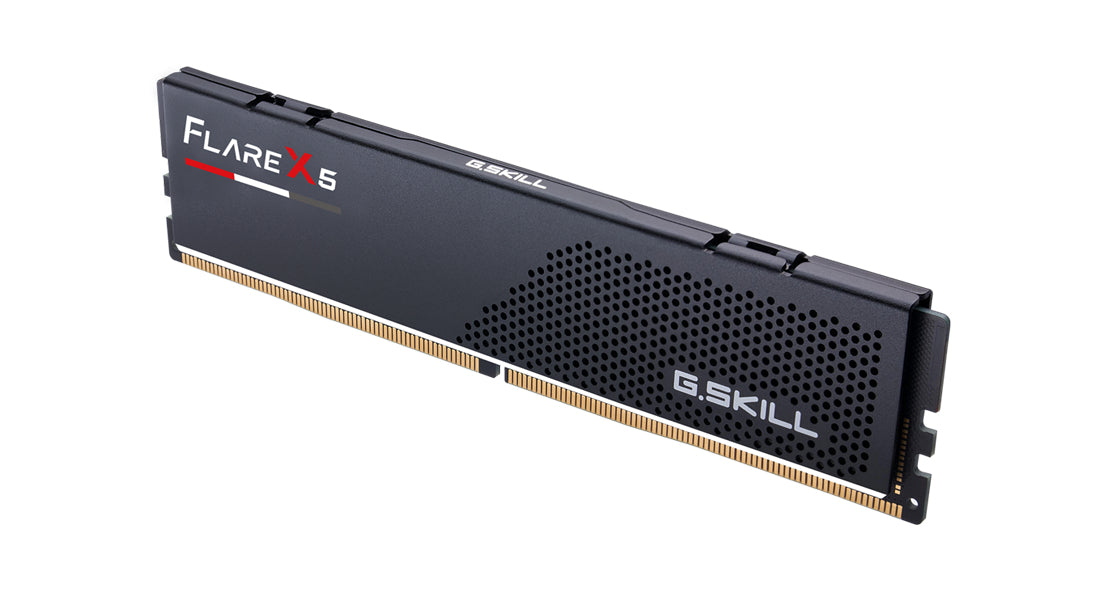 G.Skill Flare X5 F5-6000J3038F8GH1-FX5 8GB DDR5 6000 MT/s 288-pin DIMM Memory Module, Single 8GB Stick