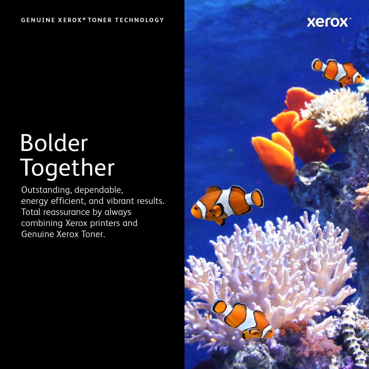 Xerox Toner DMO C230 C235 Yellow Gelb (006R04398)