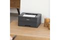 Brother HL-L2400DWE sw-Laser