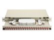 Equip LWL-Spleißkasten 24-Port LC-Duplex OM4 1U komplett  gr