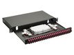 Equip LWL-Spleißkasten 24-Port SC-Duplex OM4 1U komplett  sw