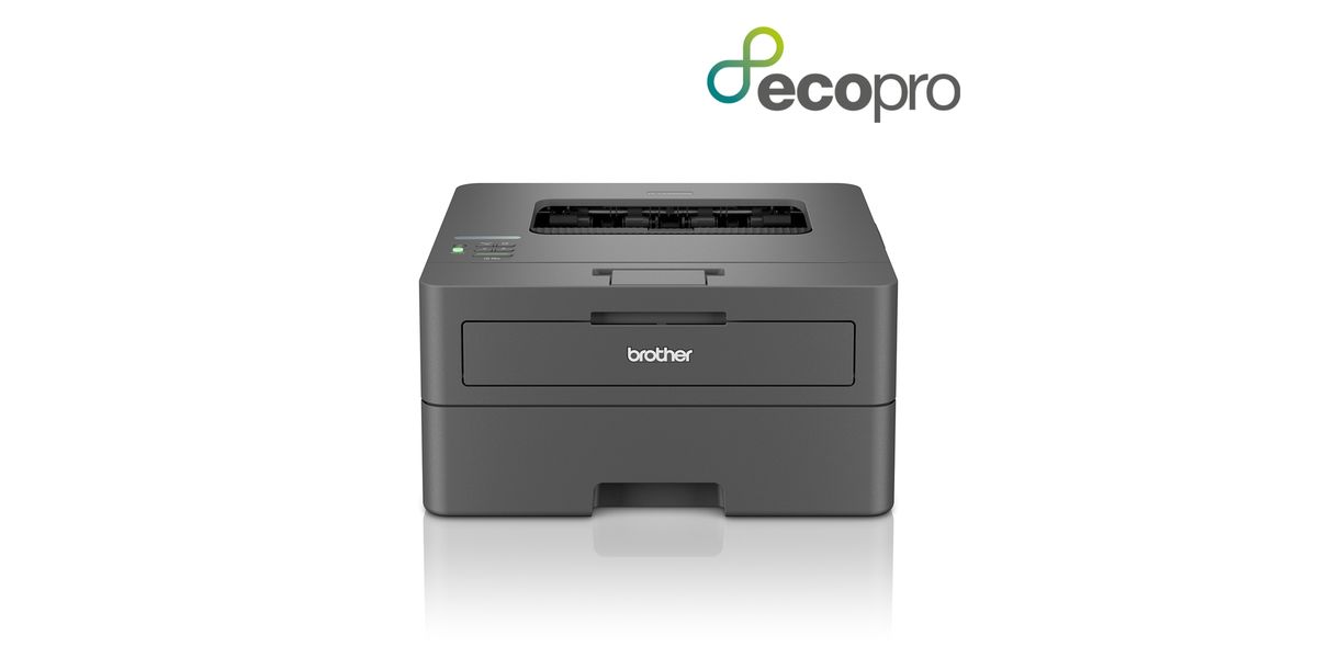 Brother HL-L2400DWE sw-Laser