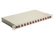 Equip LWL-Spleißkasten 12-Port LC-Duplex OM4 1U komplett  gr