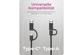 Adapter IcyBox USB3.2 Gen1 Type-A, Type-C 2.5GB Ethernet LAN retail
