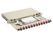 Equip LWL-Spleißkasten 12-Port SC-Duplex OM4 1U komplett  gr