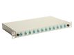 Equip LWL-Spleißkasten 12-Port LC-Duplex OM3 1U komplett  gr