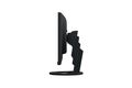 EIZO 60.5cm (23,8") EV2480-BK 16:09 DVI+HDMI+DP+USB-C black