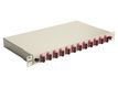 Equip LWL-Spleißkasten 12-Port SC-Duplex OM4 1U komplett  gr