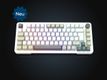 INCA Gaming Tastatur RGB/GraySwitch/USB-C/BT   2.00m    weiß
