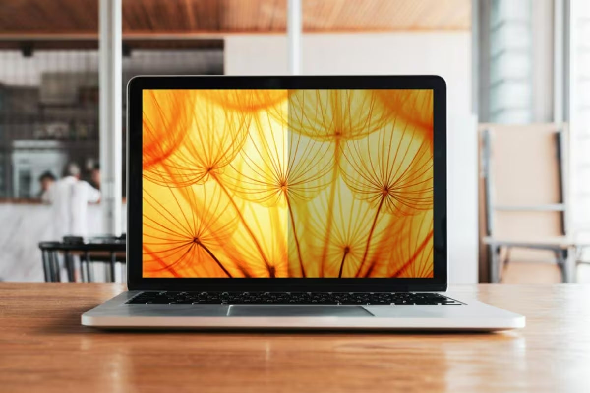 3M Bright Screen Privacy Filter for 16" Laptop (16:10) BP160W1B