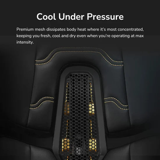 COUGAR Gaming Chair Terminator Elite Gold, Black