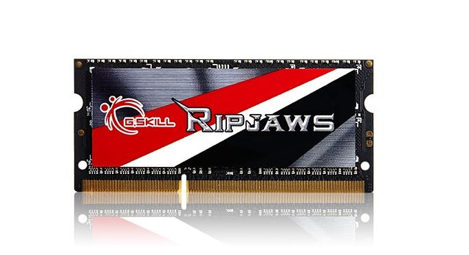 G.Skill 8GB DDR3-1600 Memory Module 1 x 8GB 1600 MHz
