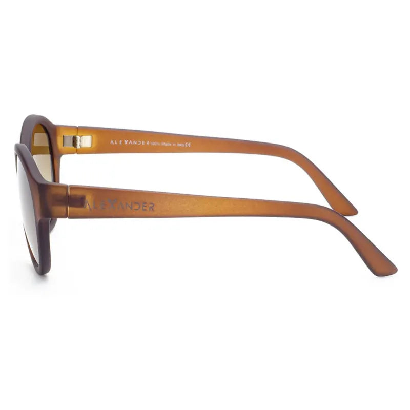 Γυαλιά Ηλίου ALEXANDER SUN 2596/D182/SFRX - Unisex