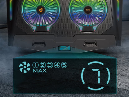 CONCEPTRONIC 2-Fan USB-A2.0 Laptop-Kühlpad 40Kg RGB   17" sw